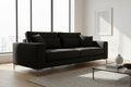 black colour sofa